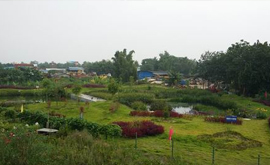 農(nóng)村生態(tài)濕地污水處理系統(tǒng)，變成公園了！！