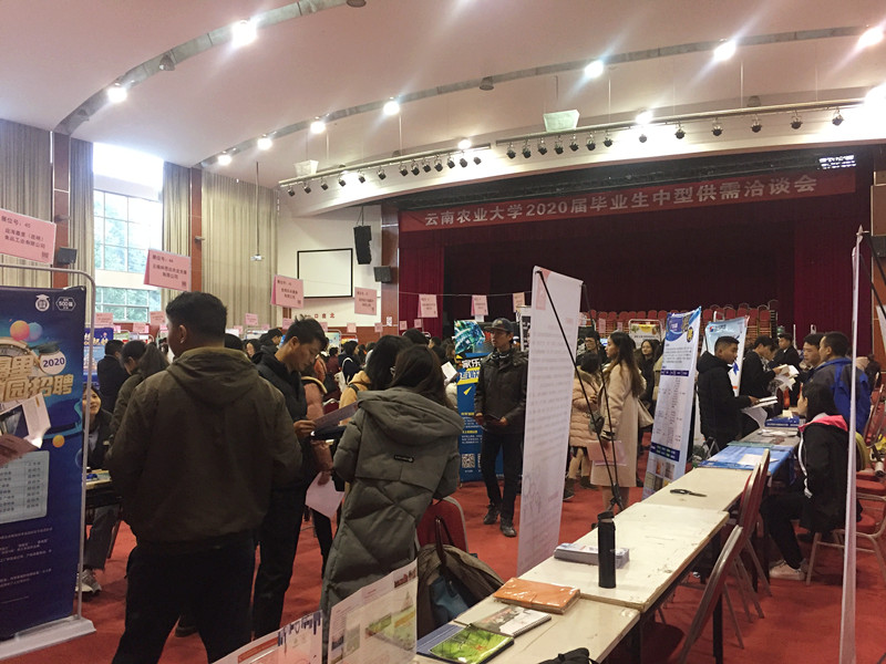 合眾參加云南農業大學2020屆畢業生中型供需洽談會